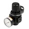 Dewalt Regulator 3/8" 150 PSI, w/ Gauge DXCM019-0343 - alternate 5